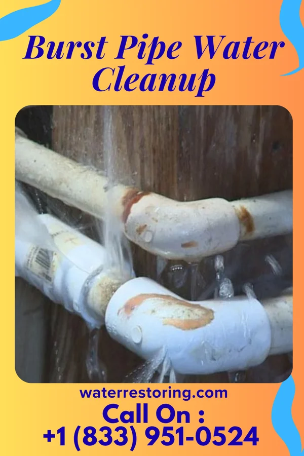 Burst Pipe Water Cleanup in Fountain Inn, SC