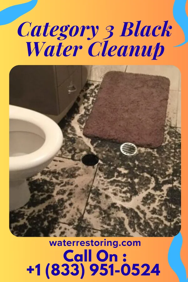 Category 3 Black Water Cleanup in Fountain Inn, SC