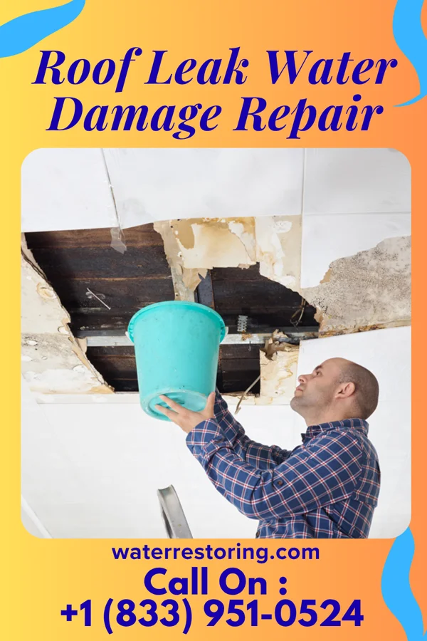 Roof Leak Water Damage Repair in Fountain Inn, SC