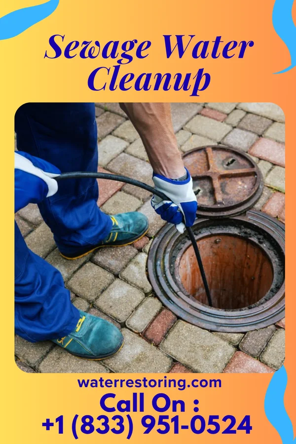 Sewage Water Cleanup in Fountain Inn, SC